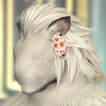 Pink Cherry Blossoms